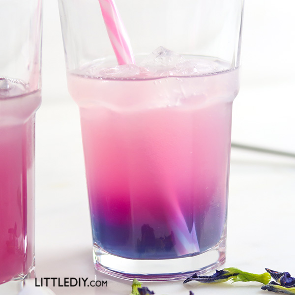 BUTTERFLY PEA TEA LEMONADE