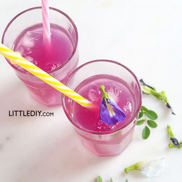 BUTTERFLY PEA TEA LEMONADE