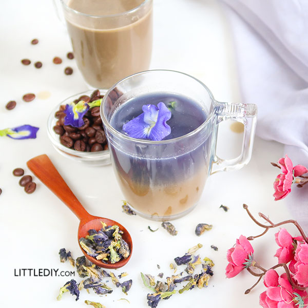 BUTTERFLY PEA COFFEE