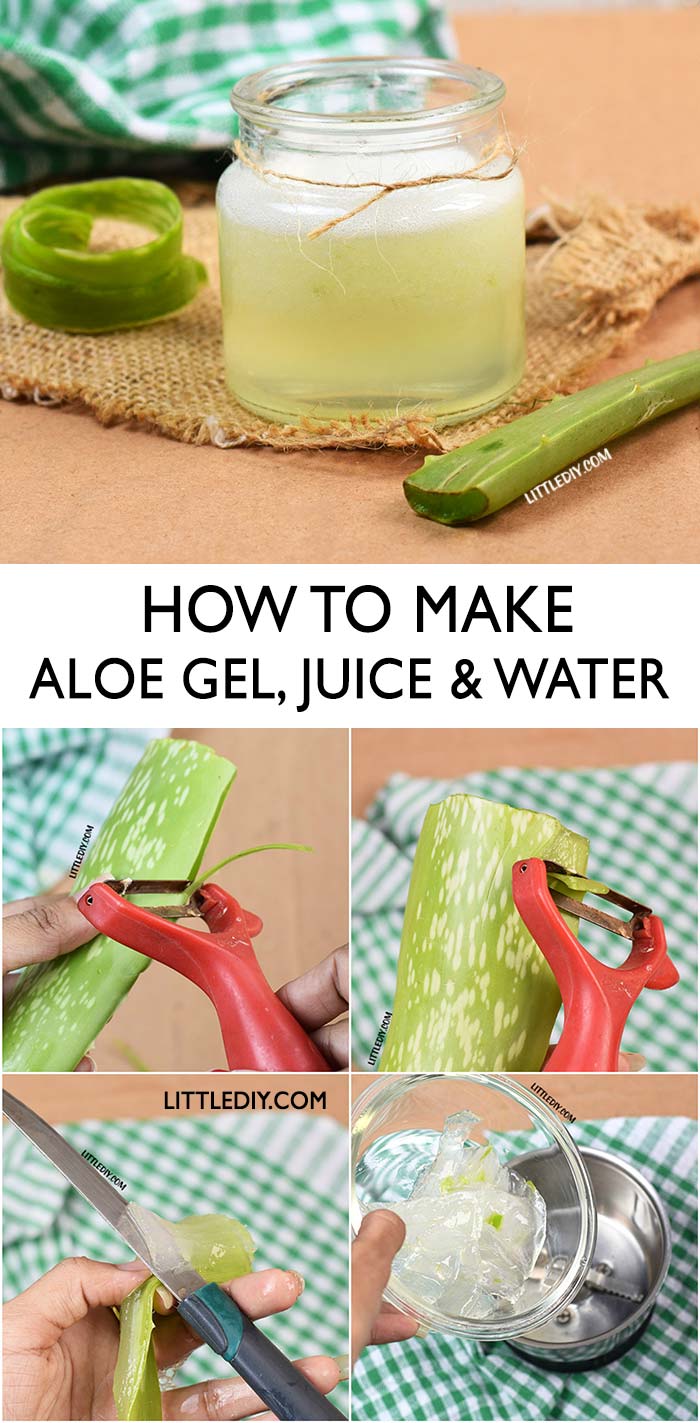 MAKE YOUR OWN ALOE VERA GEL