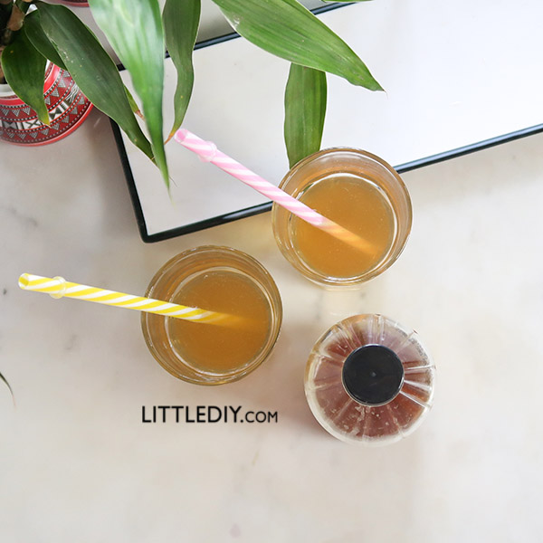 APPLE CIDER VINEGAR ICED TEA