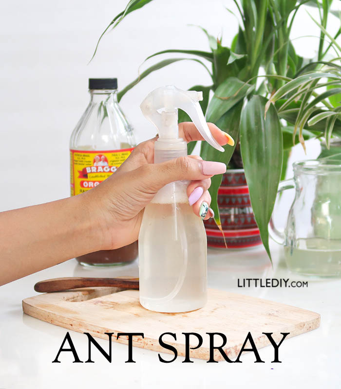 ANT SPRAY