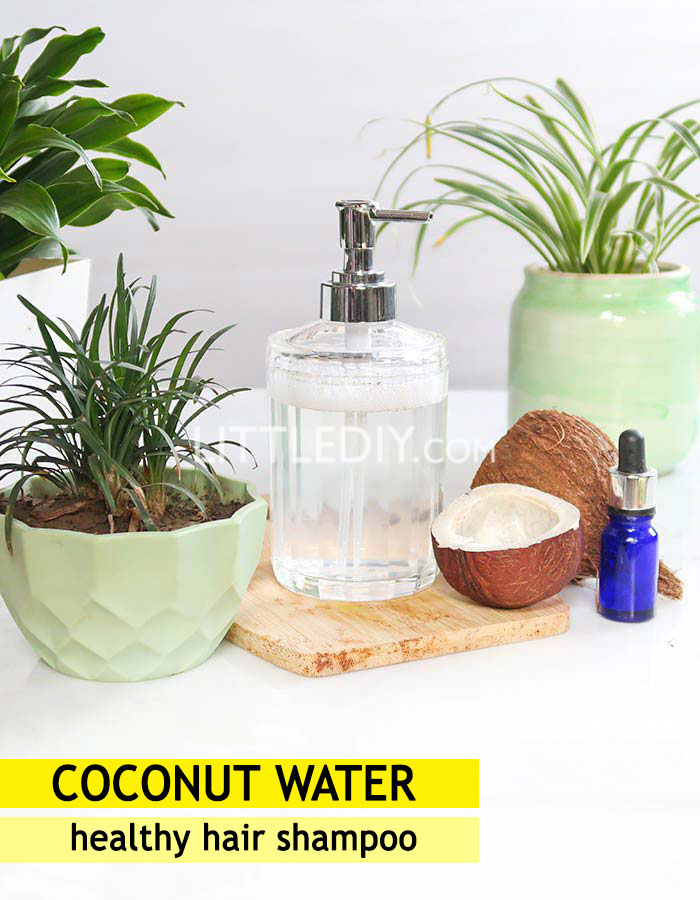Coconut Water Healthy hair growth Shampoo