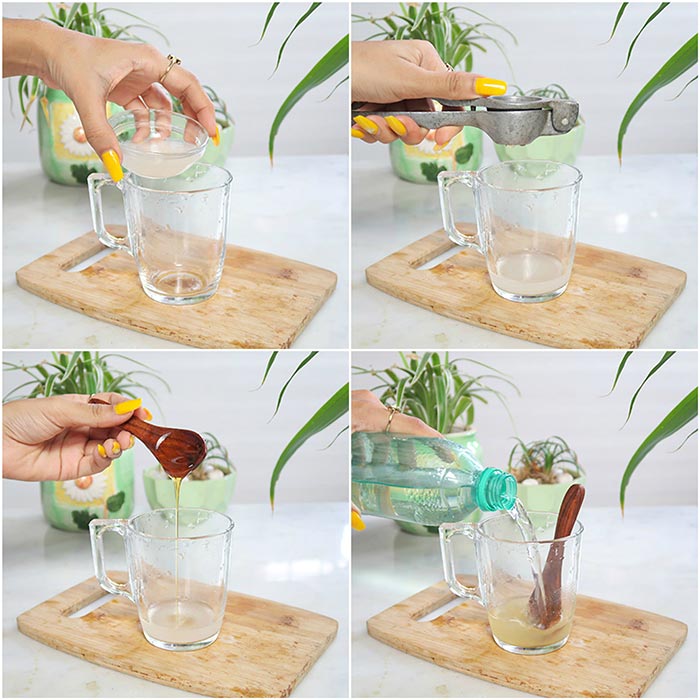 GINGER ALE RECIPE