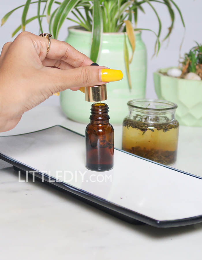 GREEN TEA HAIR OIL FOR LONGER AND STRONGER HAIR