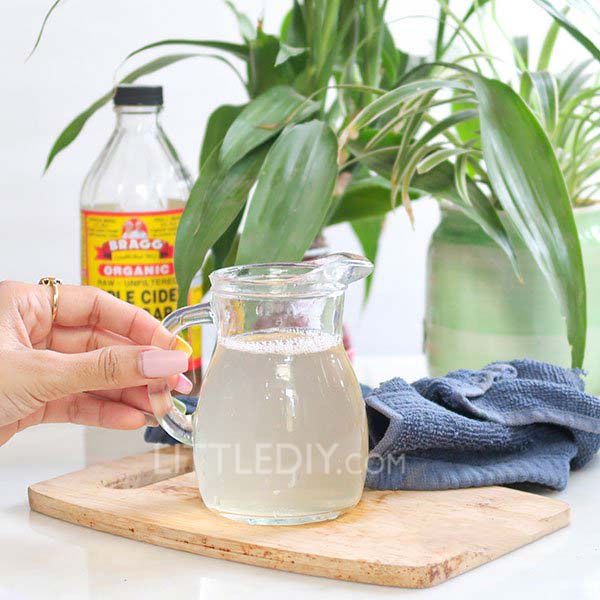 Apple Cider Vinegar Steam