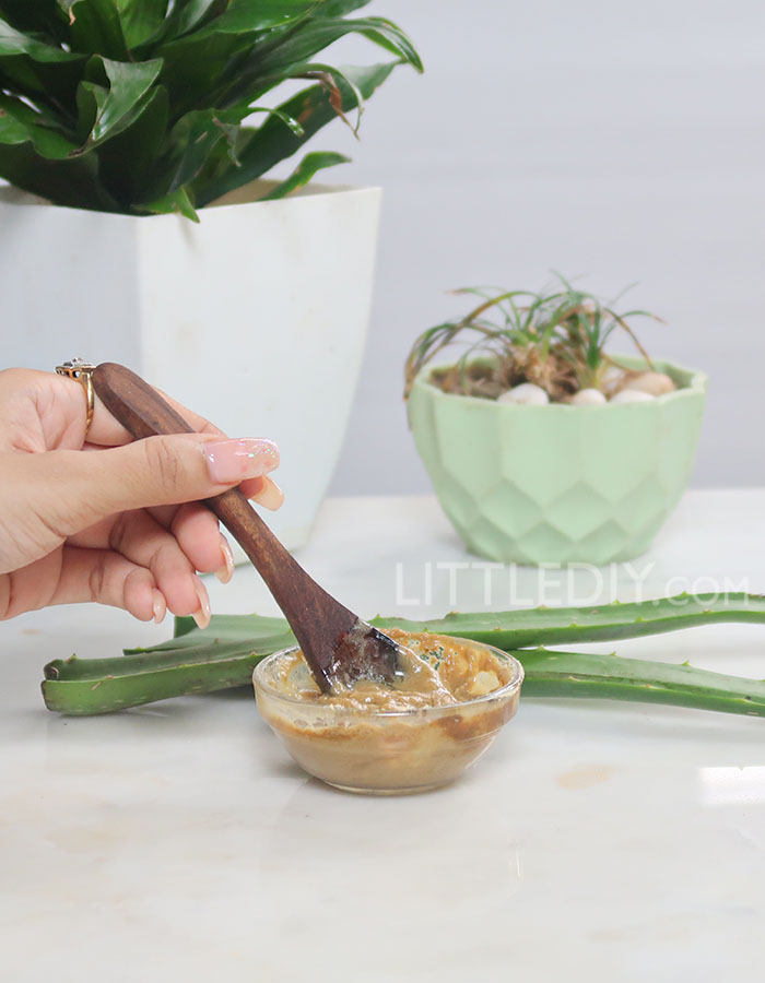 ALOE HAIR GROWTH MASK