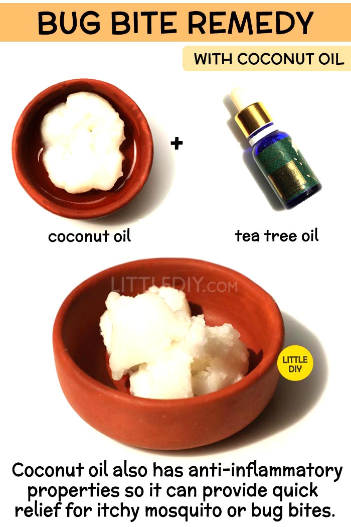 Coconut Oil bug bite Remedy -