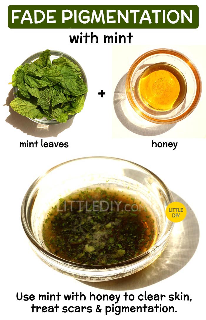 MINT LEAVES FOR PIGMENTATION