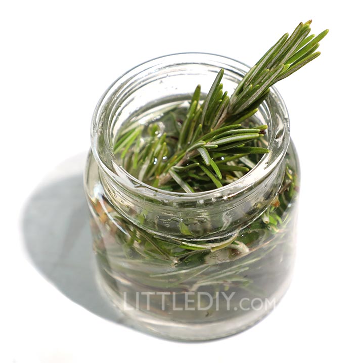 ROSEMARY OIL for faster hair growth