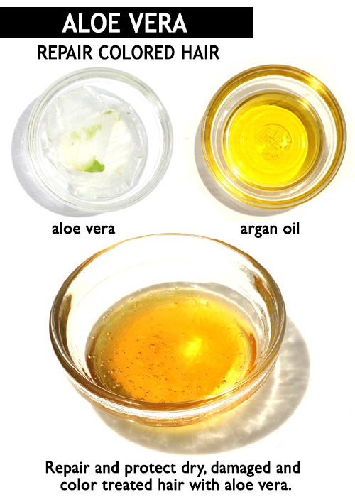 Aloe vera for colored hair -