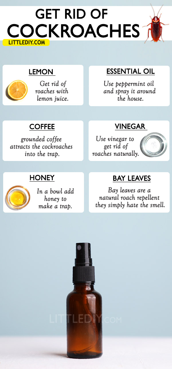 WAYS TO GET RID OF COCKROACHES