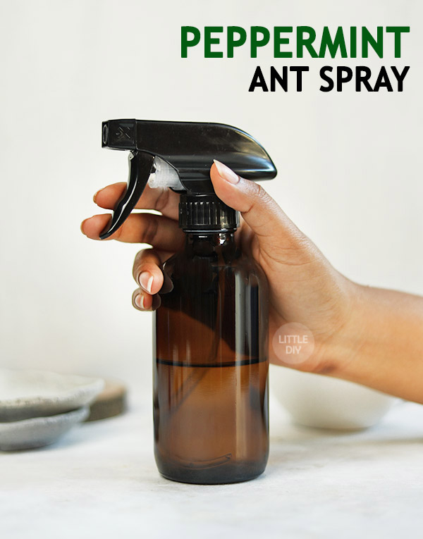PEPPERMINT ANT SPRAY